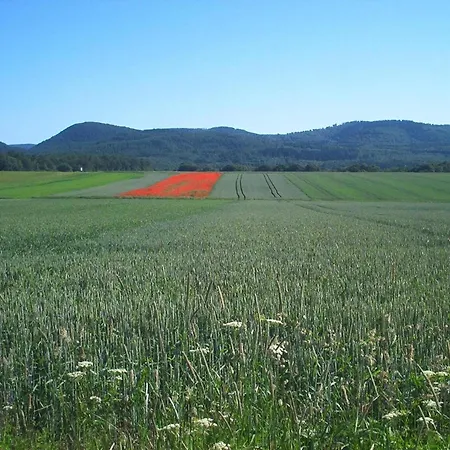 Gemuetliche In *
